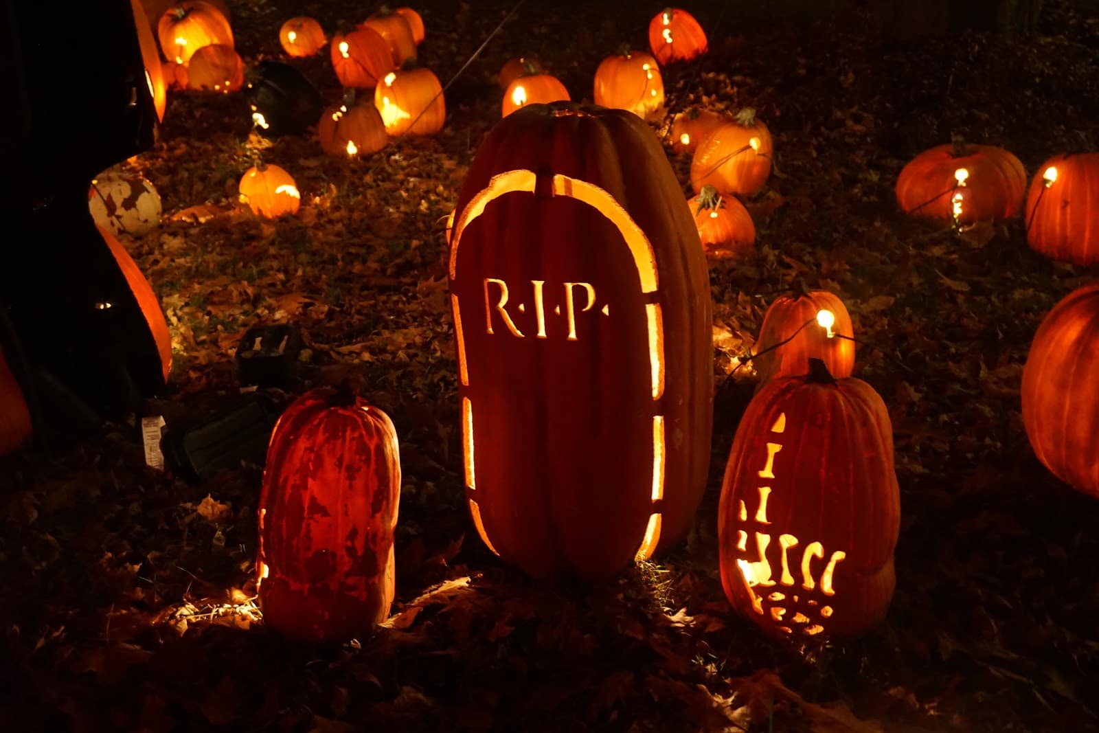 Ghostbusting Spooky Government Security Access Practices